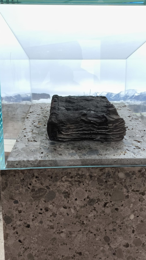 SinnRaum - Lebensbuch